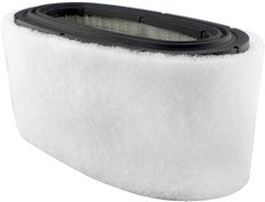 Baldwin Air Filter  top view frsport PA2233