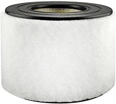 Baldwin Air Filter  top view frsport PA3890