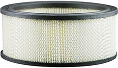 Baldwin Air Filter  top view frsport PA3901