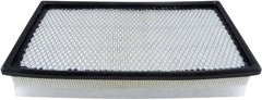 Baldwin Air Filter  top view frsport PA4110