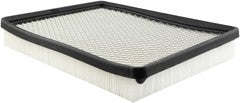 Baldwin Air Filter  top view frsport PA4146