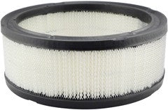 Baldwin Air Filter  top view frsport PA650