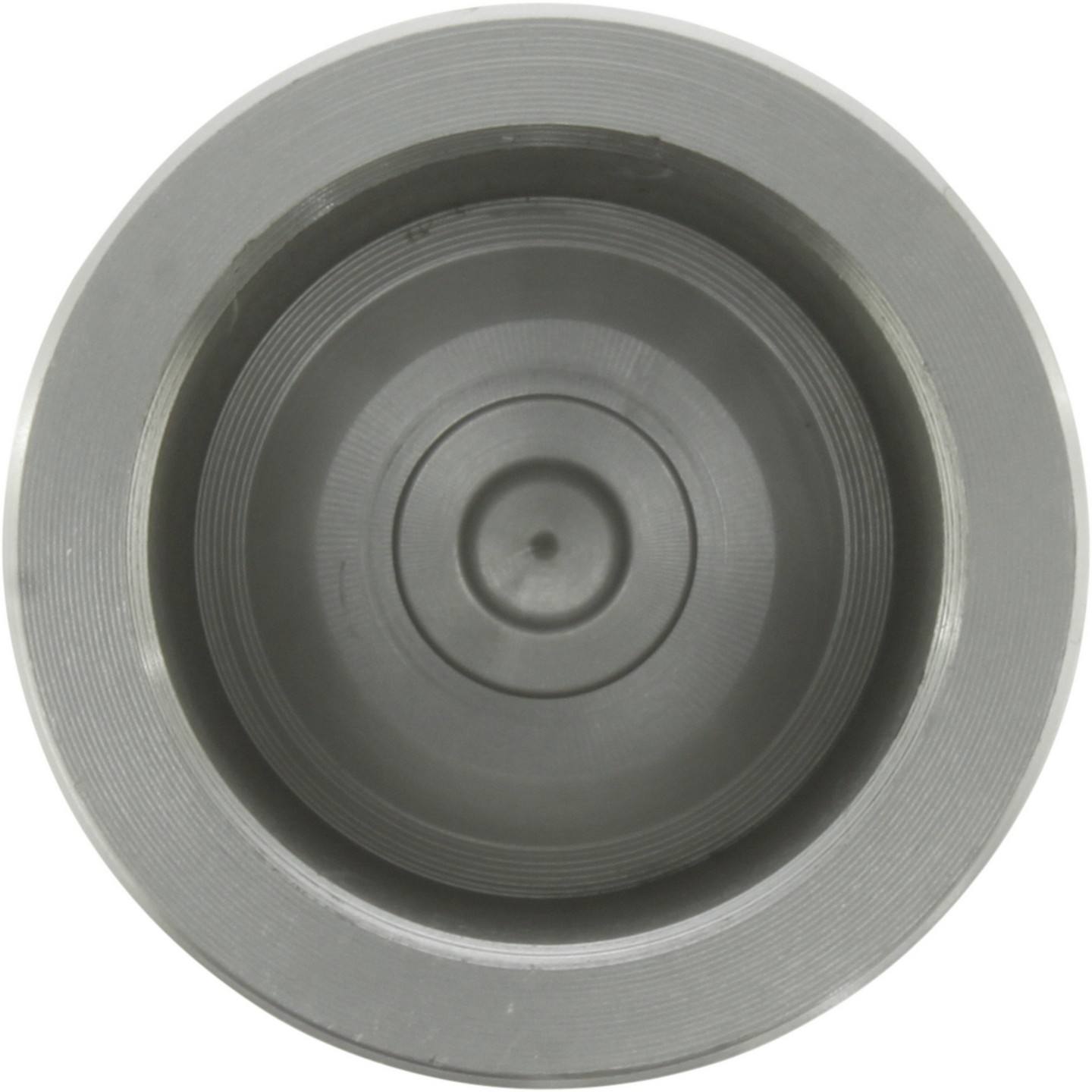 Centric Parts Caliper Piston  top view frsport 146.43034