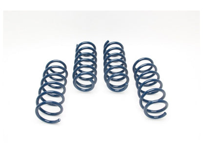 Dinan Lowering Springs D100-0902 Item Image