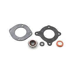 Dedenbear Water Pump Seal Kit DEDSKWP