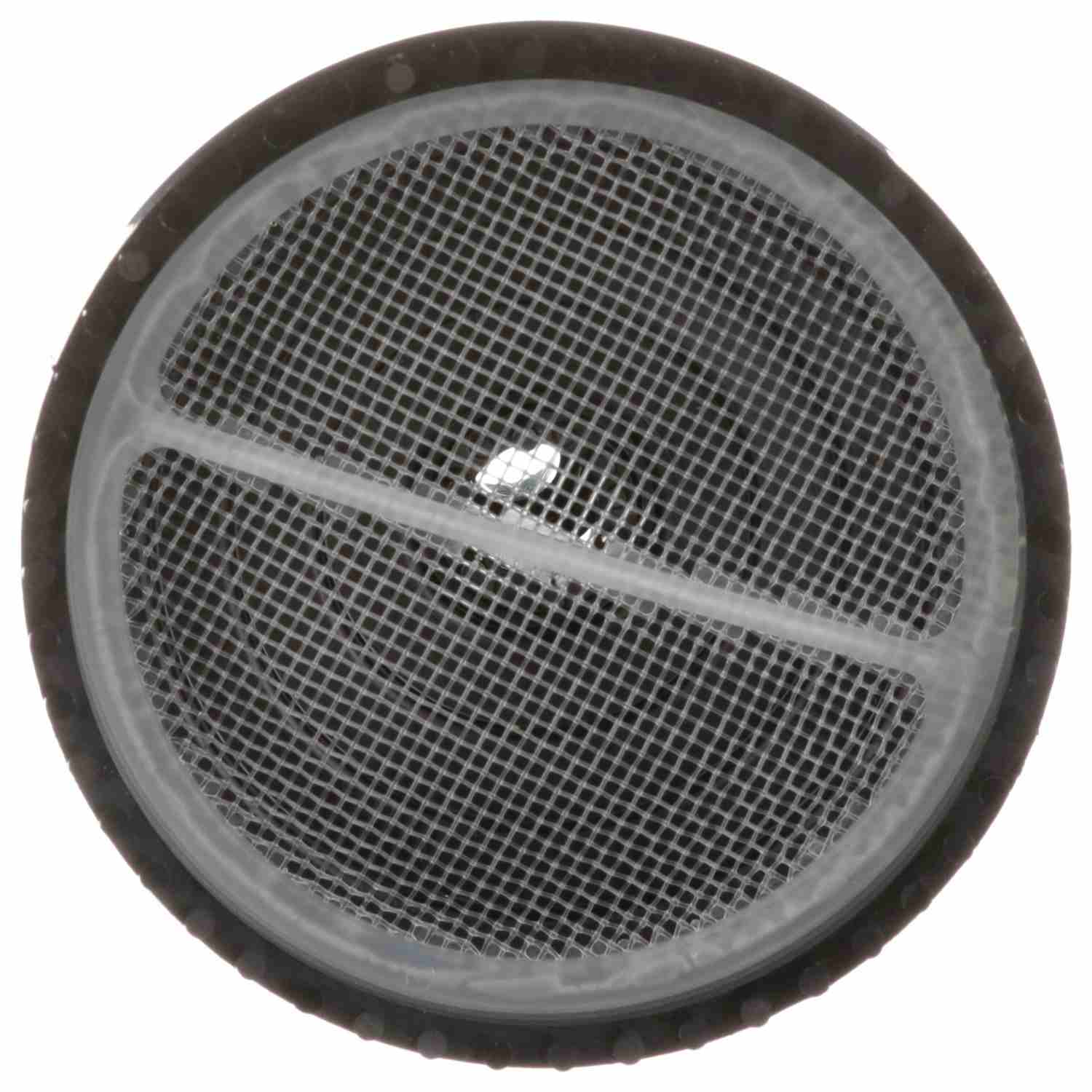 Delphi Fuel Pump Strainer  top view frsport FS0204