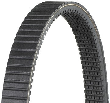 Dayco HP Automatic Continuously Variable Transmission (CVT) Belt  top view frsport HP2031