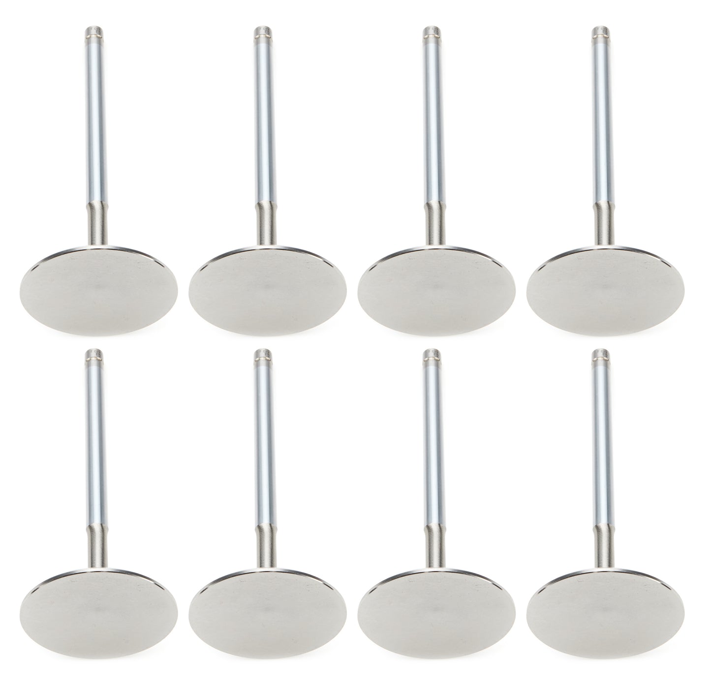 Ferrea SBC 2.200 C/P Intake Valves 11/32 5.560 OAL FERF2028P-8