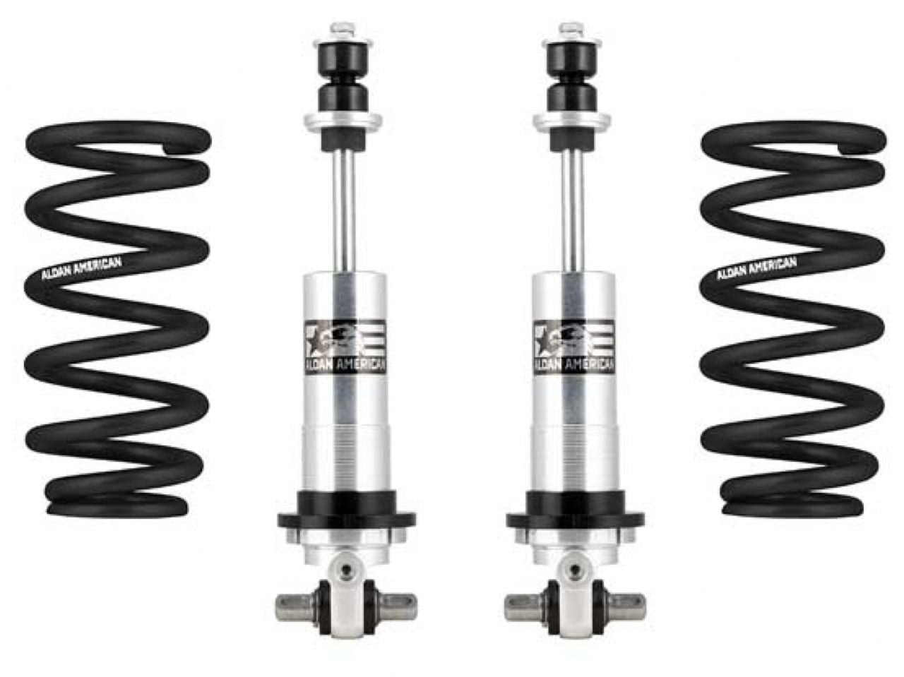 Aldan American Coilover Spring and Shock Assembly