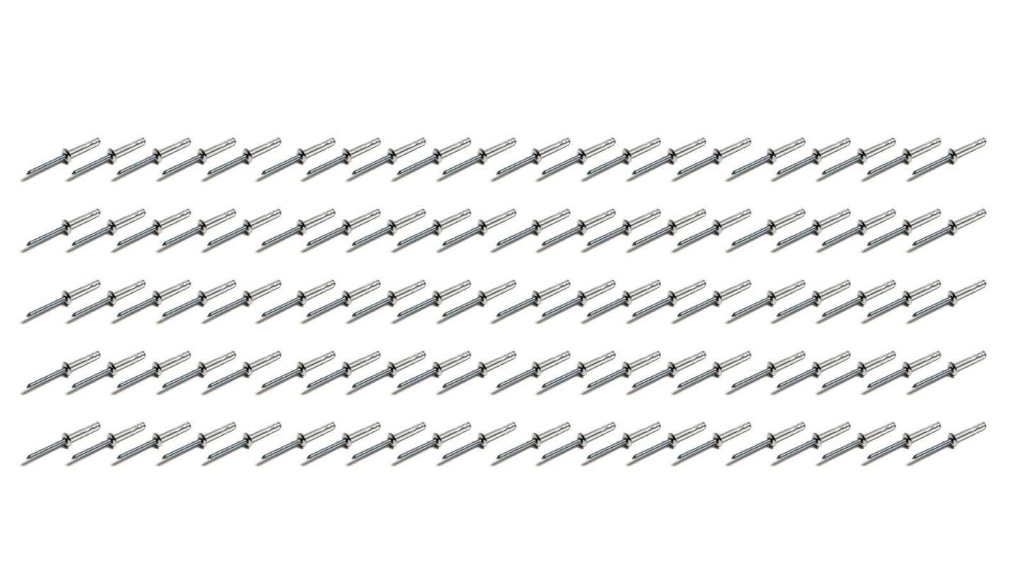 Fivestar Small Head Rivet Silver 100pc 3/16in Long Shank FIV816A-100S