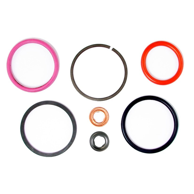 GB Fuel Injector Seal Kit  top view frsport 522-044