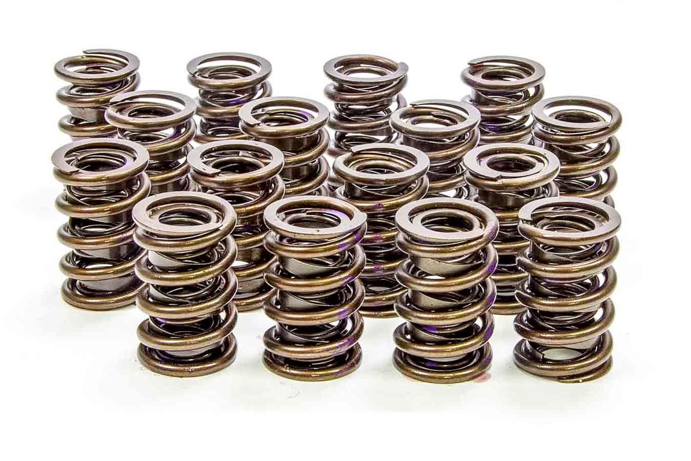 Isky Cams 1.530in Valve Springs ISK8005-A