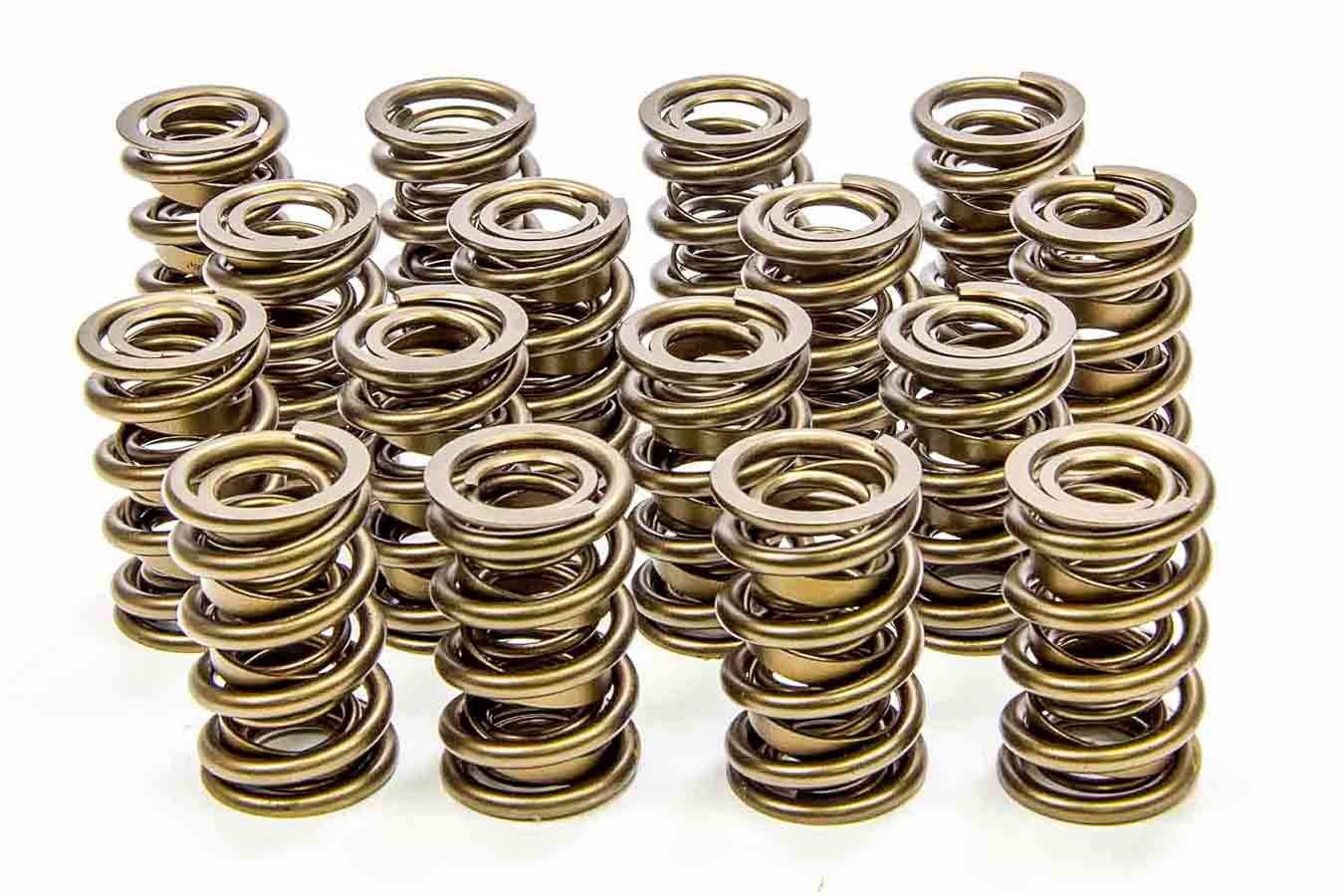 Isky Cams 1.600 Valve Springs ISK9999-RAD