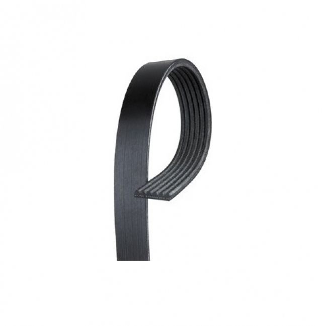 Gates Other Serpentine Belts K060923 Item Image