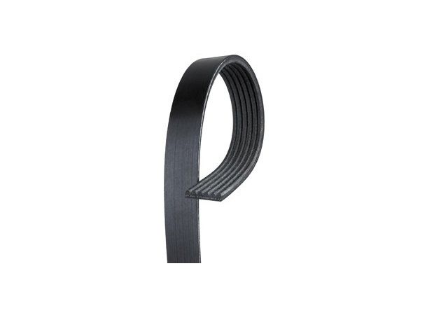 Gates Other Serpentine Belts K050321 Item Image