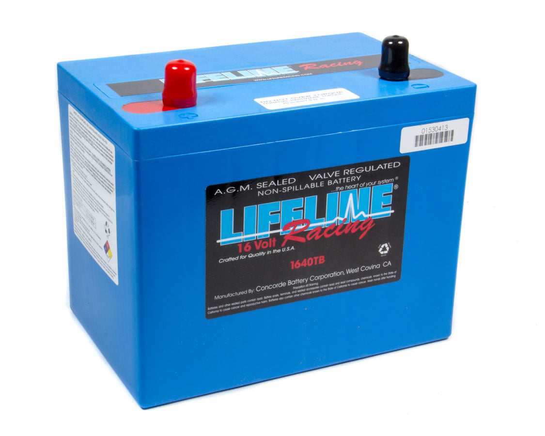 Lifeline Batteries 16 Volt 2 Post Battery LFBLL-1640TB