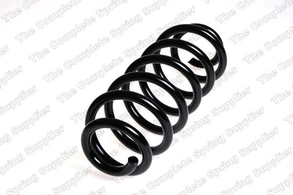 Lesjofors Coil Spring  top view frsport 4004264