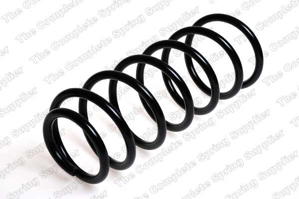 Lesjofors Coil Spring  top view frsport 4095048