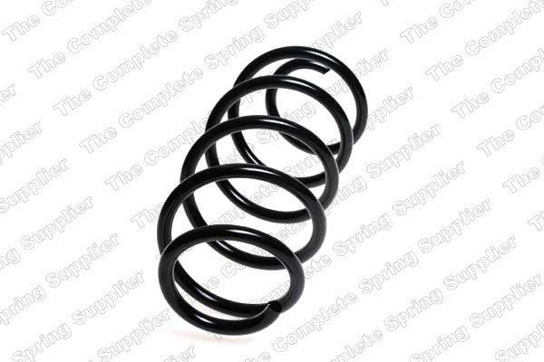 Lesjofors Coil Spring  top view frsport 4095084