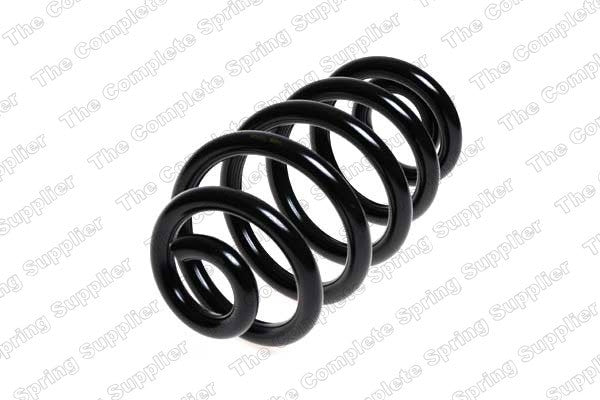 Lesjofors Coil Spring  top view frsport 4204242