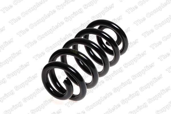 Lesjofors Coil Spring  top view frsport 4204252