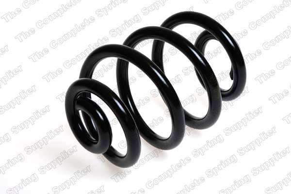 Lesjofors Coil Spring  top view frsport 4208444