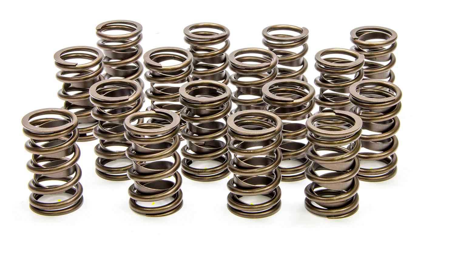 Lunati 1.450in Valve Springs LNT73084-16