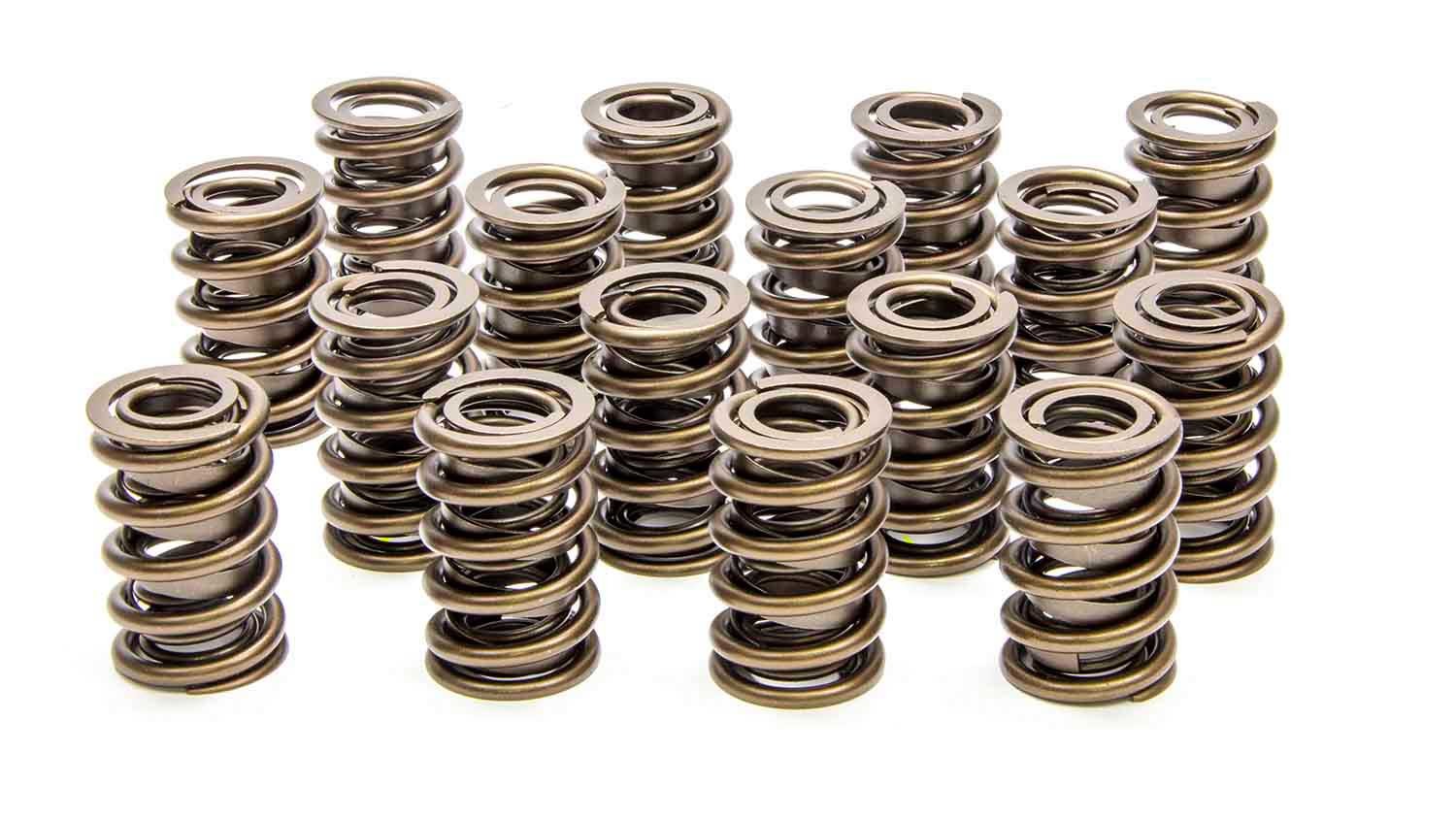 Lunati 1.450in Valve Springs LNT73100-16