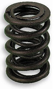 Lunati 1.550in Valve Springs LNT73121-16