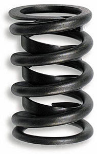 Lunati 1.500in Valve Springs LNT73815-16