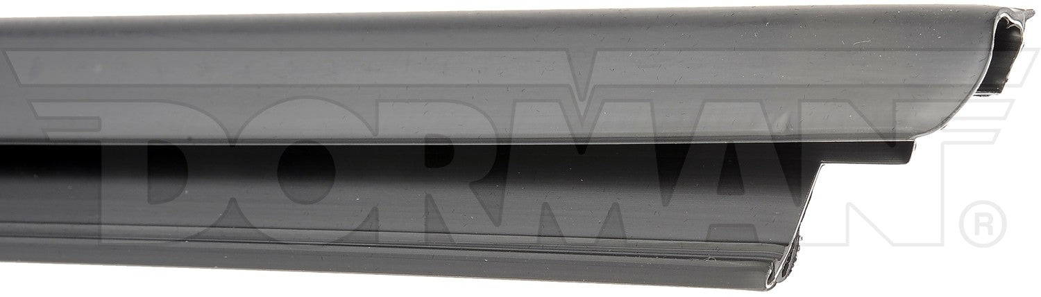 dorman - help door window seal  frsport 25862