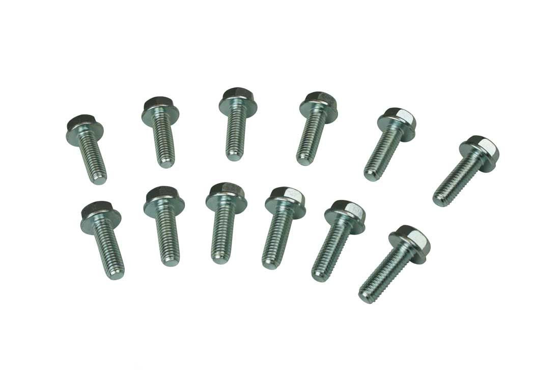 Moroso GM LS Header Bolts 38711