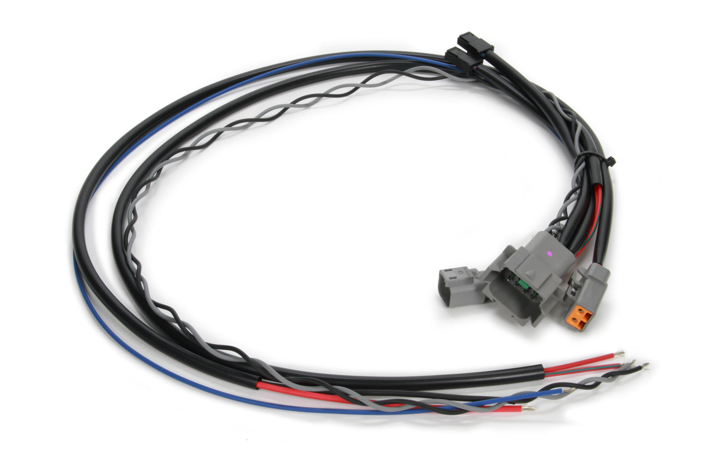 MSD Midget Wire Harness MSDASY25062