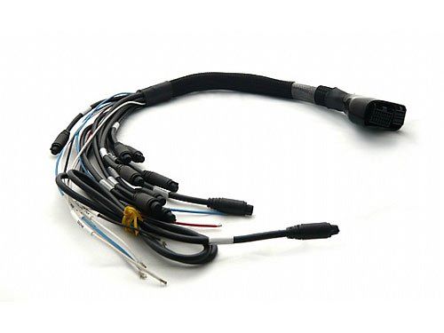 AIM Sensors & Harnesses V02554640/V02554650 Item Image