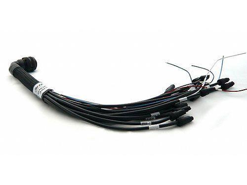 AIM Sensors & Harnesses V02554200 Item Image