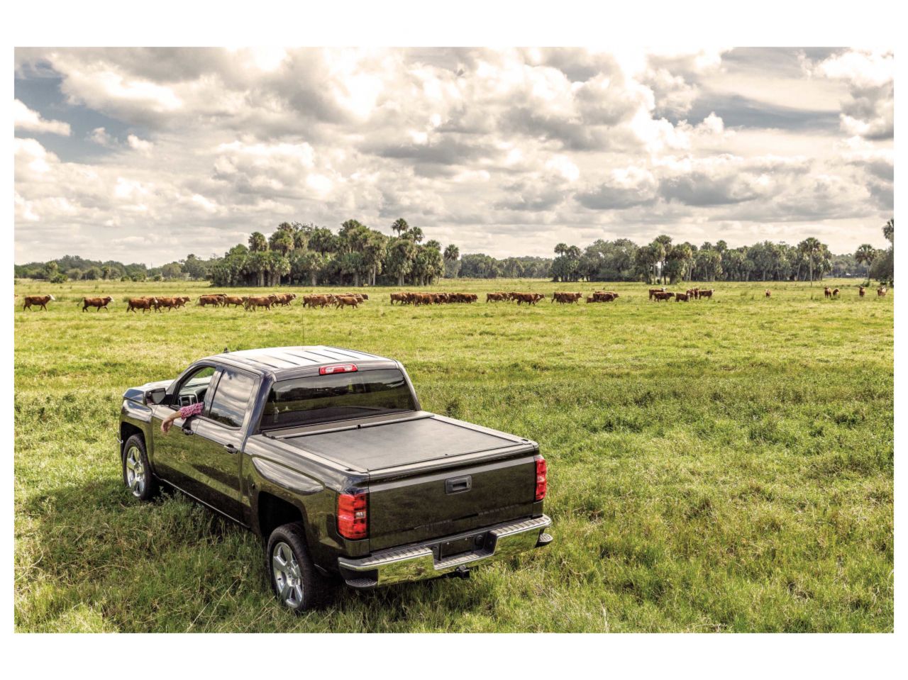 Roll-N-Lock 04-12 Chevy Colorado/Canyon Regular/Extended Cab LB 71-1/2in M-Series Tonneau Cover LG260M