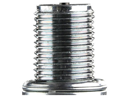 NGK Spark Plug