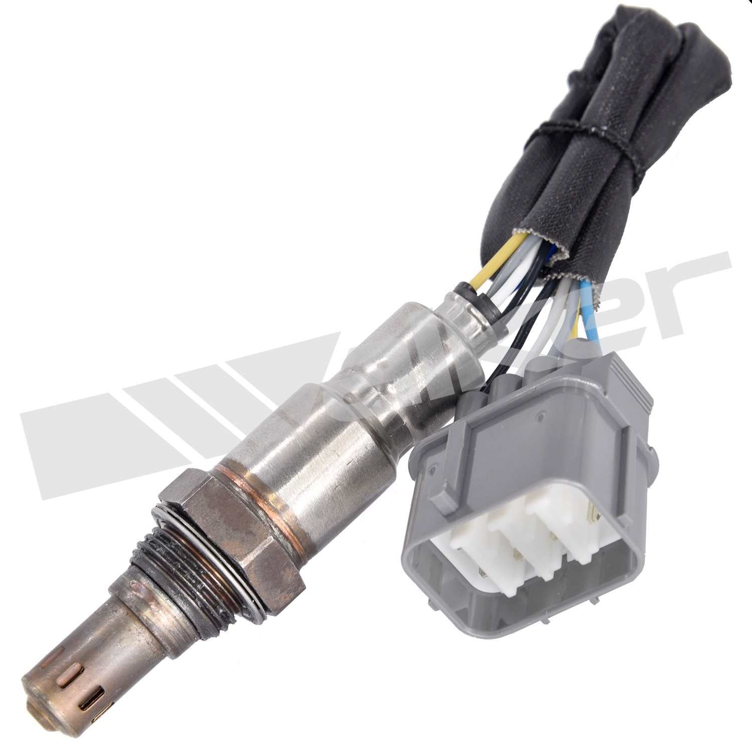 Walker Products Walker Products 250-25001 Oxygen Sensor 5-W Wideband  top view frsport 250-25001