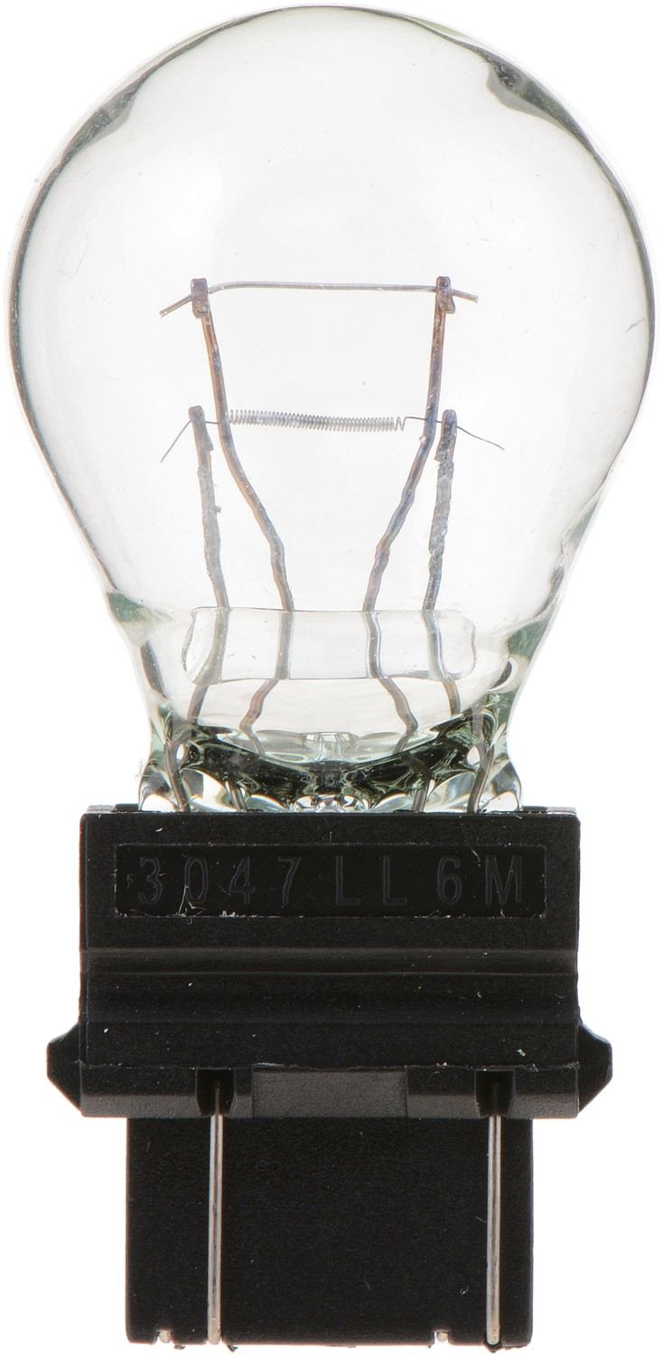 philips tail light bulb  frsport 3047llb2