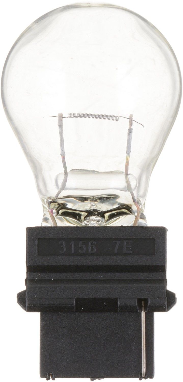 philips tail light bulb  frsport 3156b2