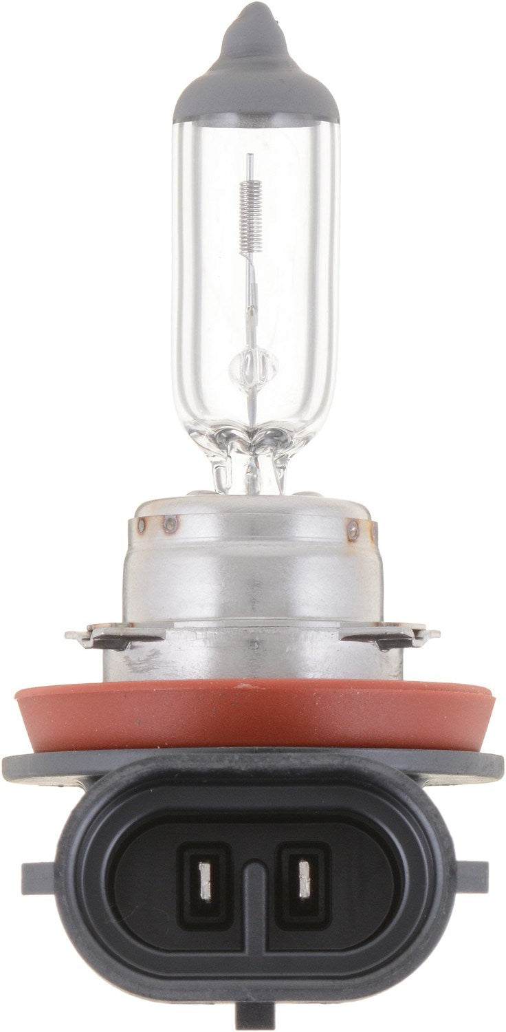 Philips Headlight Bulb  top view frsport H11B2