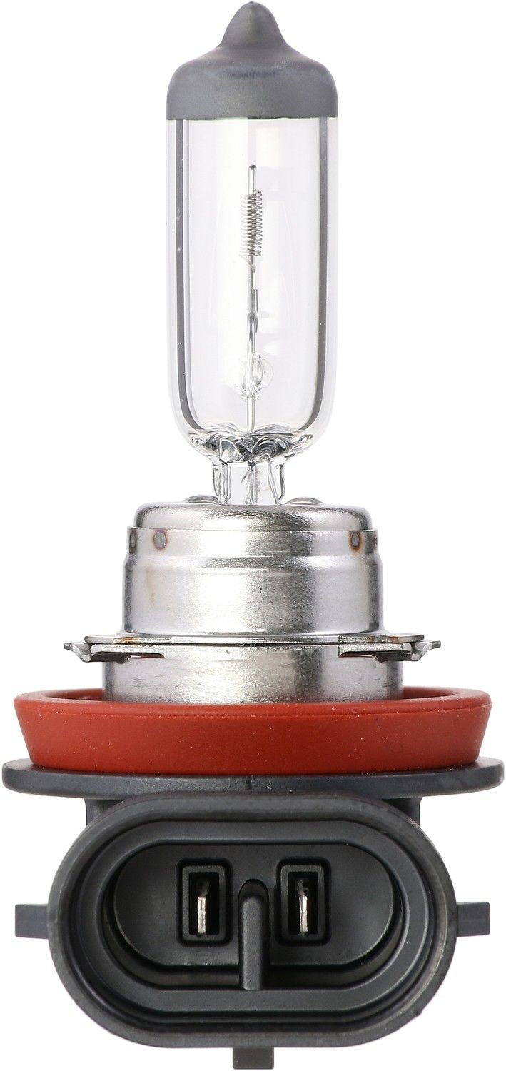 Philips Headlight Bulb  top view frsport H11MDC1