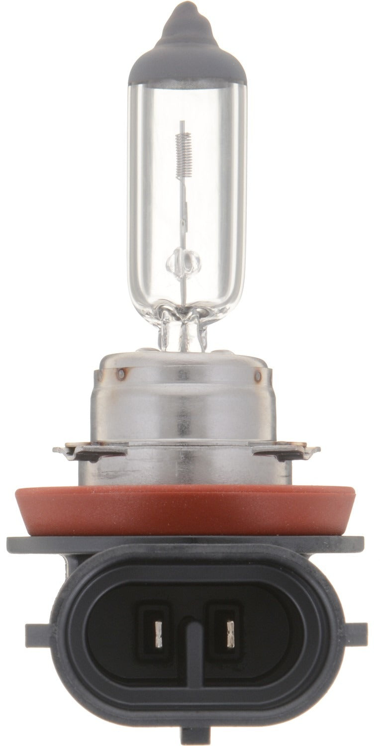 Philips Headlight Bulb  top view frsport H11PRB2