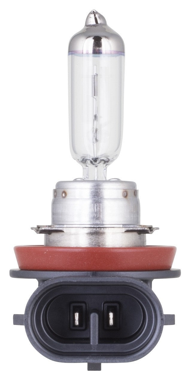 philips headlight bulb  frsport h11xvb1