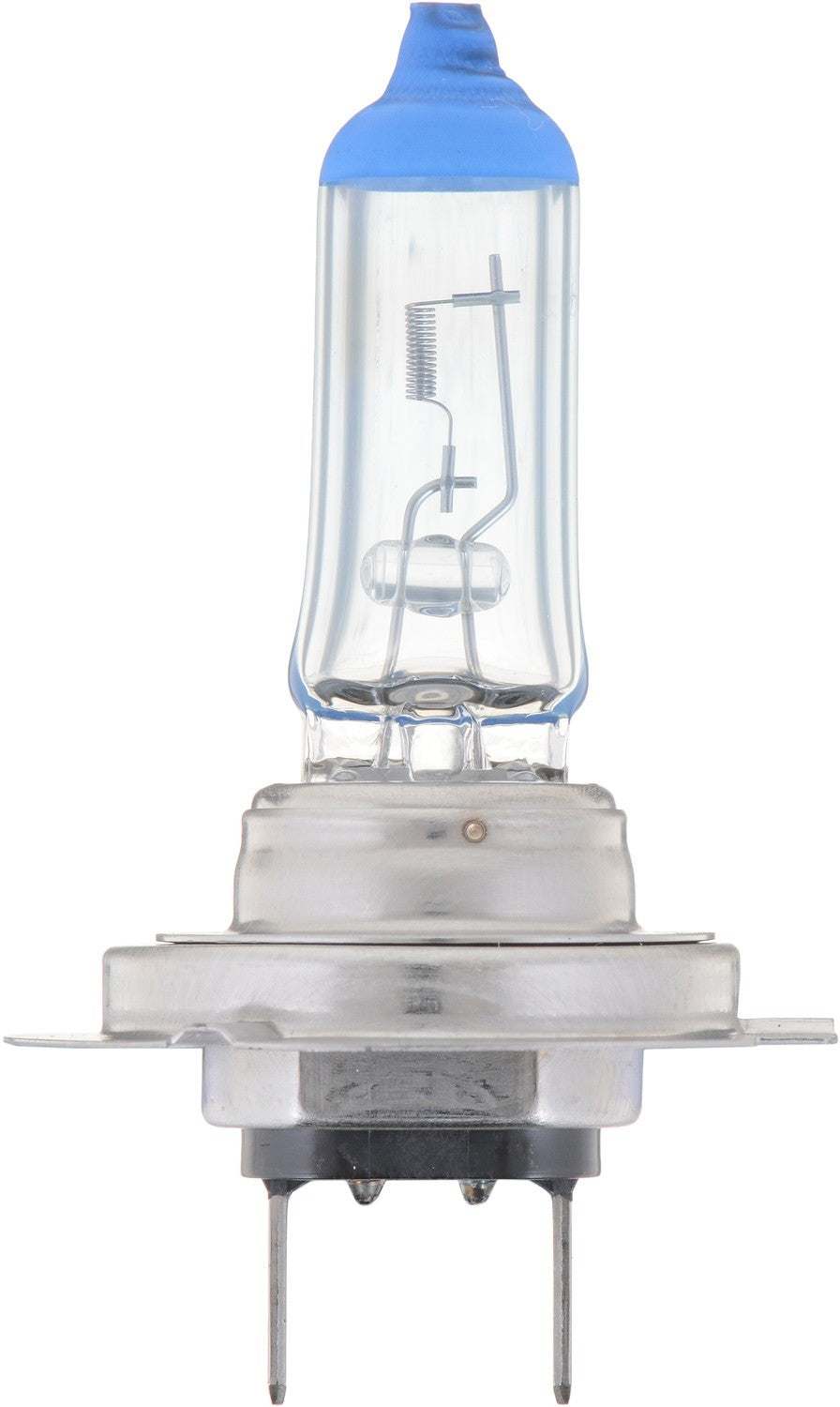 Philips Headlight Bulb  top view frsport H7CVB2