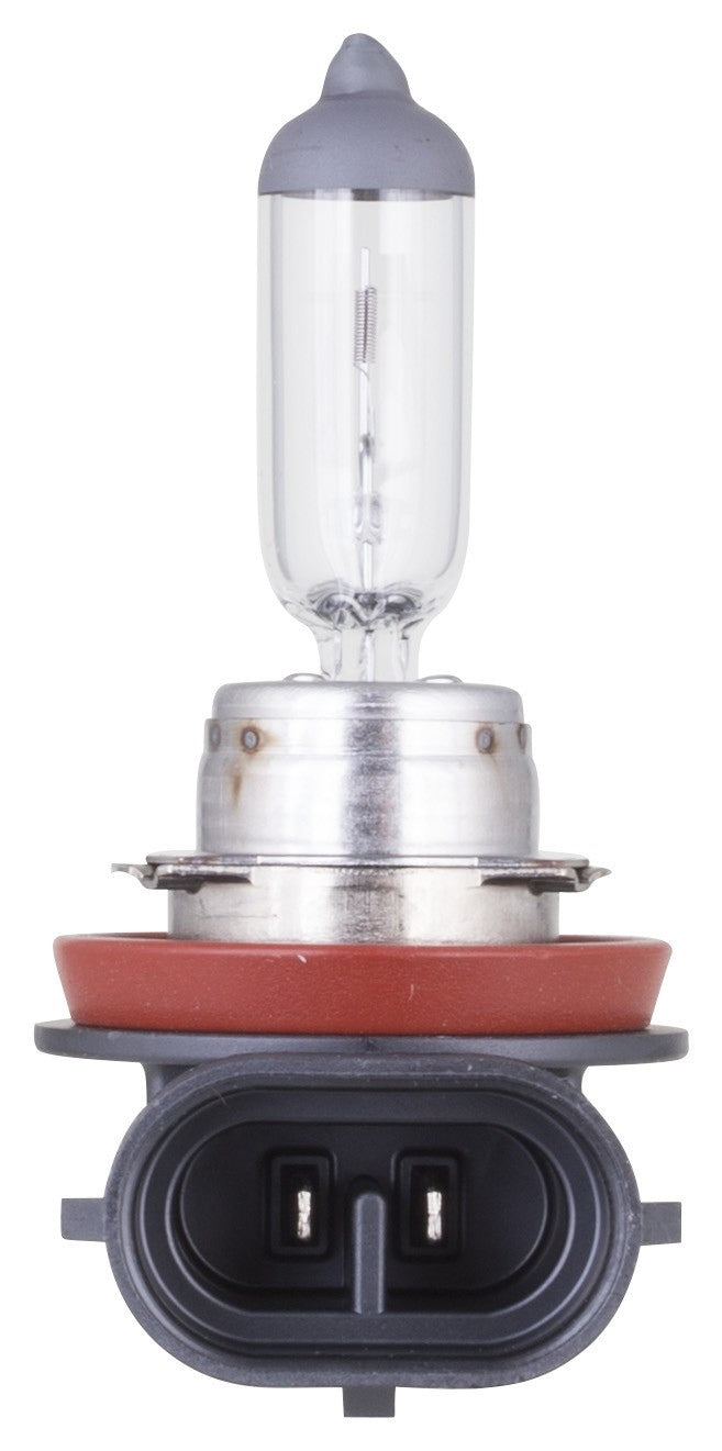 philips fog light bulb  frsport h8b1