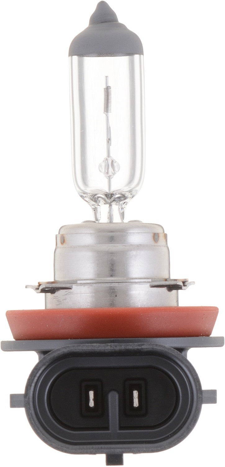 Philips Fog Light Bulb  top view frsport H8B1