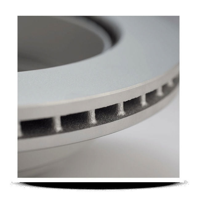 Pagid Disc Brake Rotor