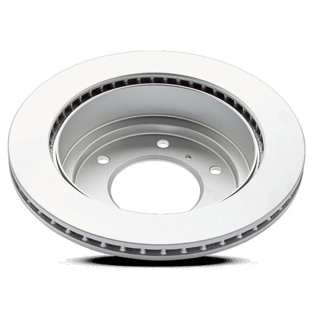 Pagid Disc Brake Rotor