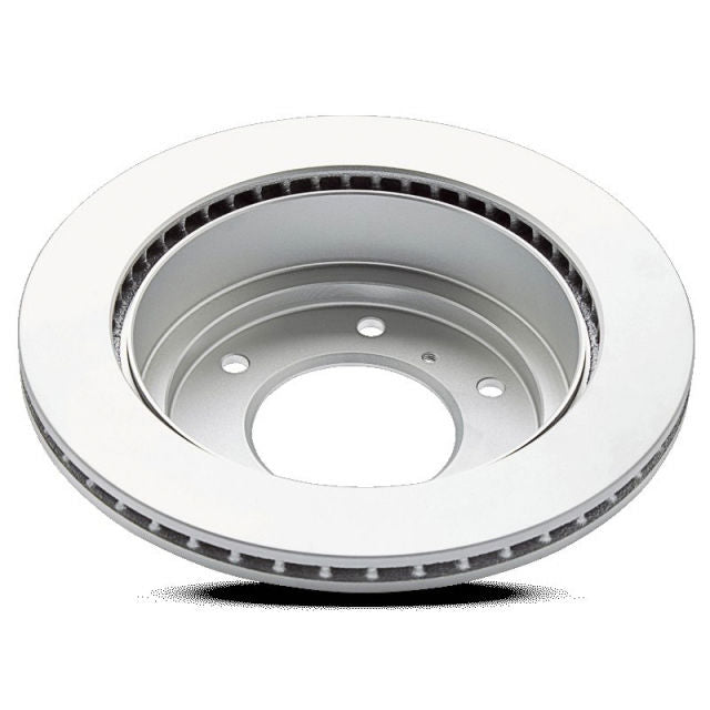 Pagid Disc Brake Rotor